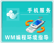 WM编程环境指导
